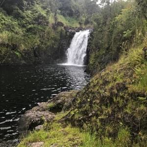 Meet your Posher, Elijah